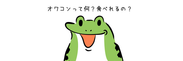 アフィリエイトはオワコン